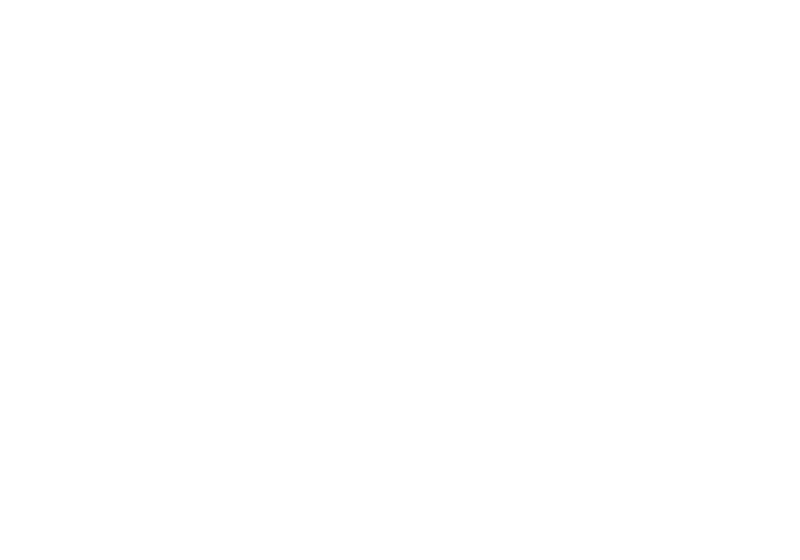Waldspirit